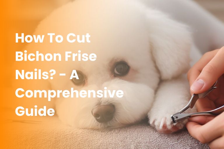 how to cut bichon frise nails