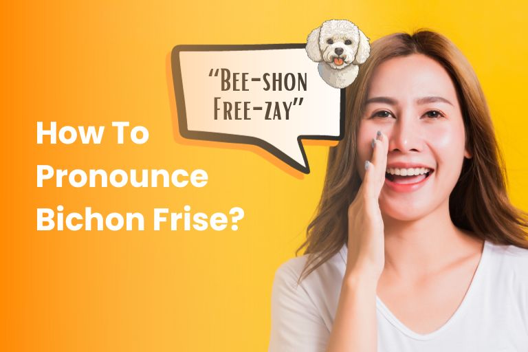 how to pronounce bichon frise