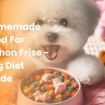 homemade food for bichon frise