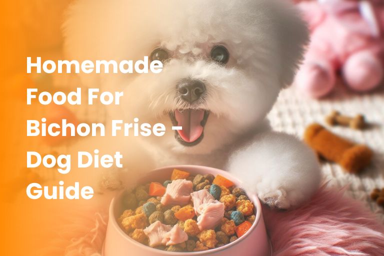 homemade food for bichon frise